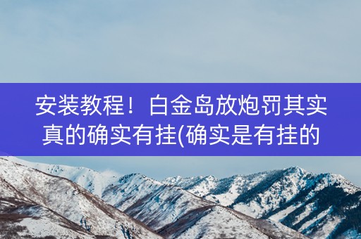 安装教程！白金岛放炮罚其实真的确实有挂(确实是有挂的)