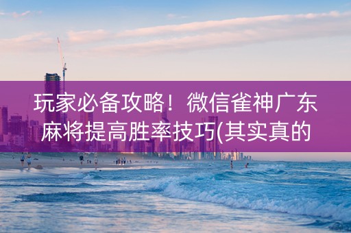 玩家必备攻略！微信雀神广东麻将提高胜率技巧(其实真的确实有挂)