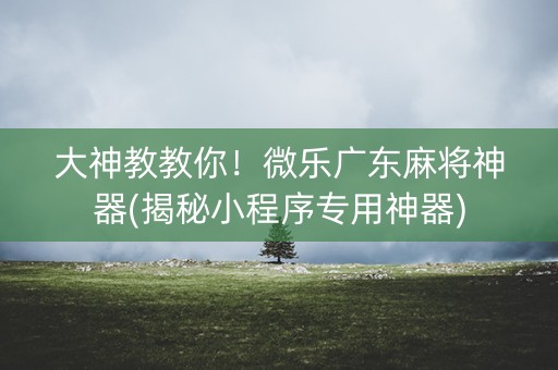 大神教教你！微乐广东麻将神器(揭秘小程序专用神器)