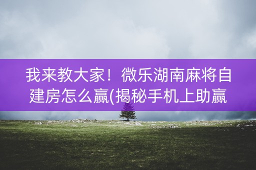 我来教大家！微乐湖南麻将自建房怎么赢(揭秘手机上助赢软件)