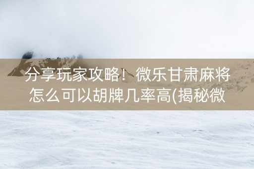 分享玩家攻略！微乐甘肃麻将怎么可以胡牌几率高(揭秘微信里输赢技巧)