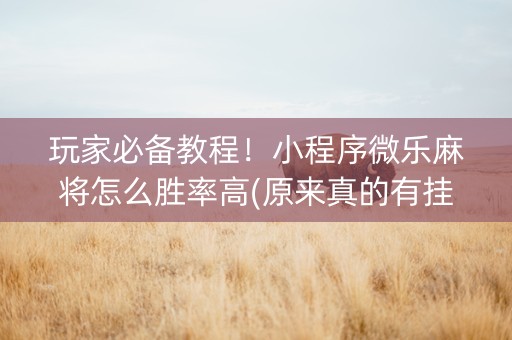 玩家必备教程！小程序微乐麻将怎么胜率高(原来真的有挂)