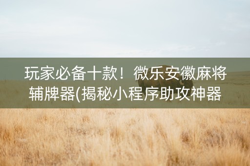 玩家必备十款！微乐安徽麻将辅牌器(揭秘小程序助攻神器)