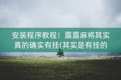 安装程序教程！露露麻将其实真的确实有挂(其实是有挂的)
