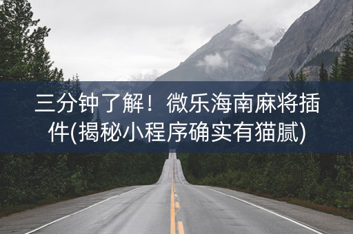 三分钟了解！微乐海南麻将插件(揭秘小程序确实有猫腻)