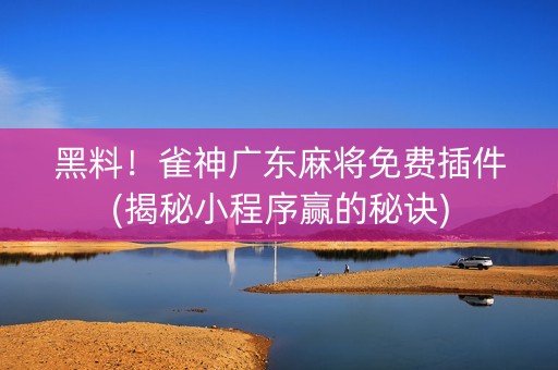 黑料！雀神广东麻将免费插件(揭秘小程序赢的秘诀)