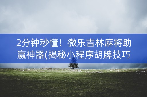 2分钟秒懂！微乐吉林麻将助赢神器(揭秘小程序胡牌技巧)