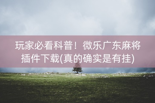 玩家必看科普！微乐广东麻将插件下载(真的确实是有挂)