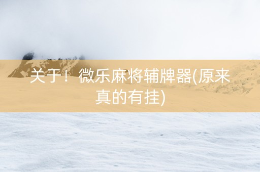 关于！微乐麻将辅牌器(原来真的有挂)