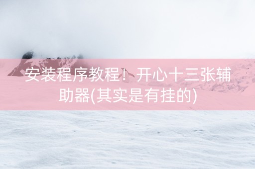 安装程序教程！开心十三张辅助器(其实是有挂的)