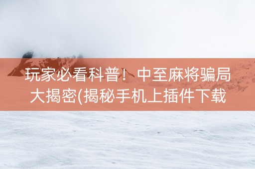 玩家必看科普！中至麻将骗局大揭密(揭秘手机上插件下载)