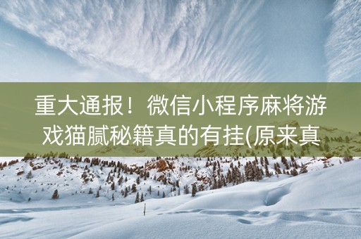 重大通报！微信小程序麻将游戏猫腻秘籍真的有挂(原来真的有挂)