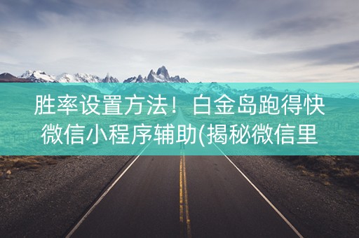 胜率设置方法！白金岛跑得快微信小程序辅助(揭秘微信里助赢神器)