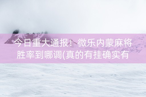 今日重大通报！微乐内蒙麻将胜率到哪调(真的有挂确实有挂)