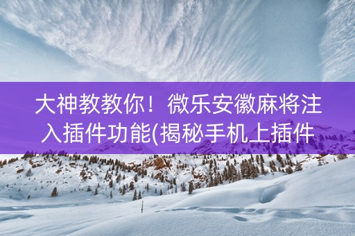 大神教教你！微乐安徽麻将注入插件功能(揭秘手机上插件购买)