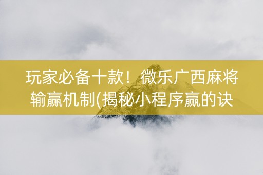 玩家必备十款！微乐广西麻将输赢机制(揭秘小程序赢的诀窍)