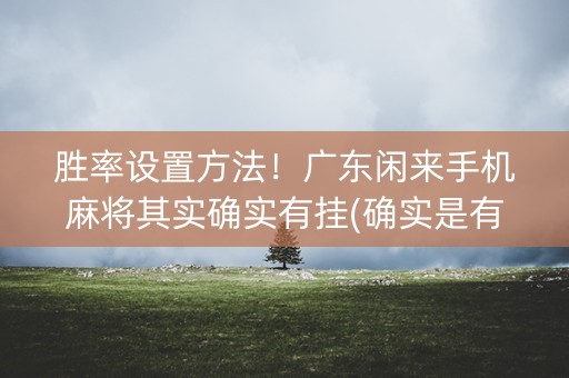 胜率设置方法！广东闲来手机麻将其实确实有挂(确实是有挂)