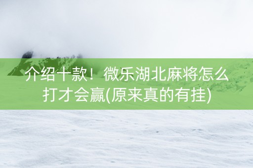 介绍十款！微乐湖北麻将怎么打才会赢(原来真的有挂)