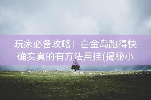 玩家必备攻略！白金岛跑得快确实真的有方法用挂(揭秘小程序助赢神器)