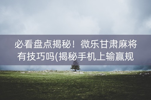 必看盘点揭秘！微乐甘肃麻将有技巧吗(揭秘手机上输赢规律)
