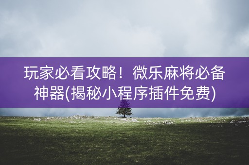 玩家必看攻略！微乐麻将必备神器(揭秘小程序插件免费)