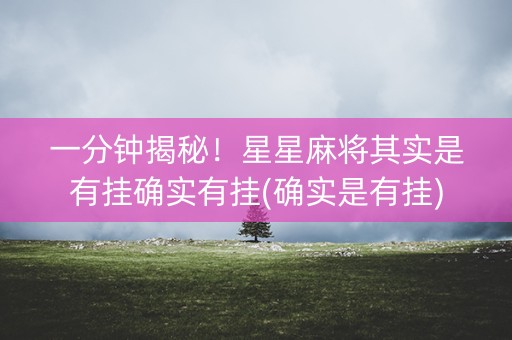 一分钟揭秘！星星麻将其实是有挂确实有挂(确实是有挂)