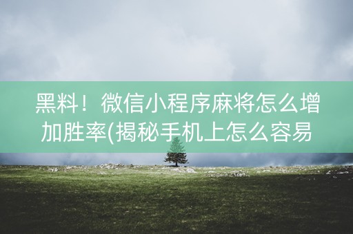 黑料！微信小程序麻将怎么增加胜率(揭秘手机上怎么容易赢)