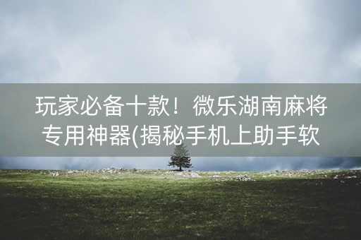 玩家必备十款！微乐湖南麻将专用神器(揭秘手机上助手软件)