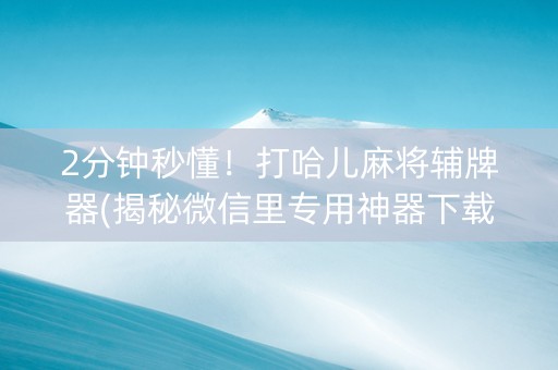 2分钟秒懂！打哈儿麻将辅牌器(揭秘微信里专用神器下载)
