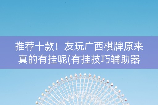 推荐十款！友玩广西棋牌原来真的有挂呢(有挂技巧辅助器)