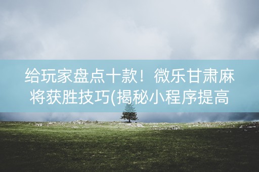 给玩家盘点十款！微乐甘肃麻将获胜技巧(揭秘小程序提高胜率)