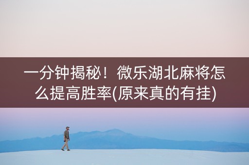 一分钟揭秘！微乐湖北麻将怎么提高胜率(原来真的有挂)