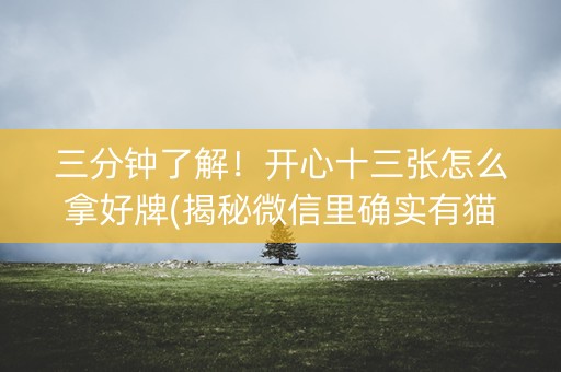 三分钟了解！开心十三张怎么拿好牌(揭秘微信里确实有猫腻)