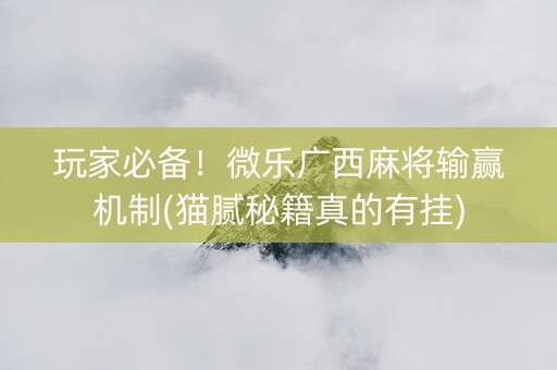玩家必备！微乐广西麻将输赢机制(猫腻秘籍真的有挂)