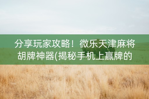 分享玩家攻略！微乐天津麻将胡牌神器(揭秘手机上赢牌的技巧)