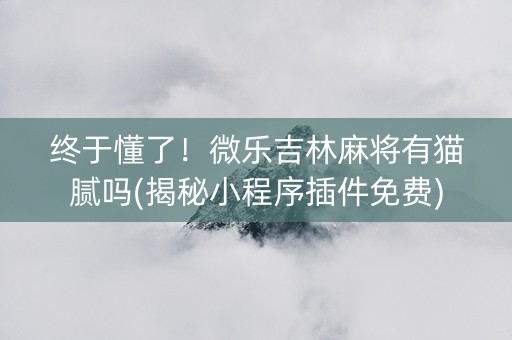 终于懂了！微乐吉林麻将有猫腻吗(揭秘小程序插件免费)