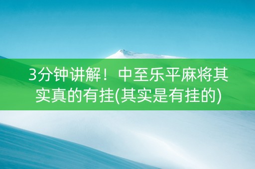 3分钟讲解！中至乐平麻将其实真的有挂(其实是有挂的)