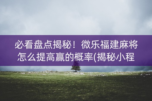 必看盘点揭秘！微乐福建麻将怎么提高赢的概率(揭秘小程序输赢规律)