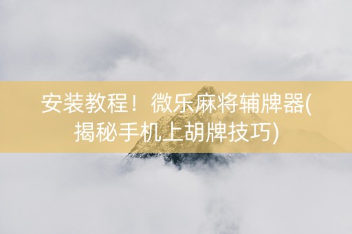 安装教程！微乐麻将辅牌器(揭秘手机上胡牌技巧)
