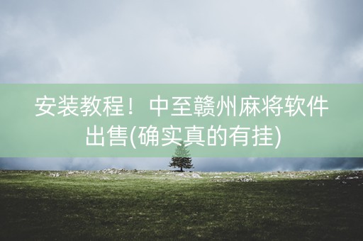 安装教程！中至赣州麻将软件出售(确实真的有挂)