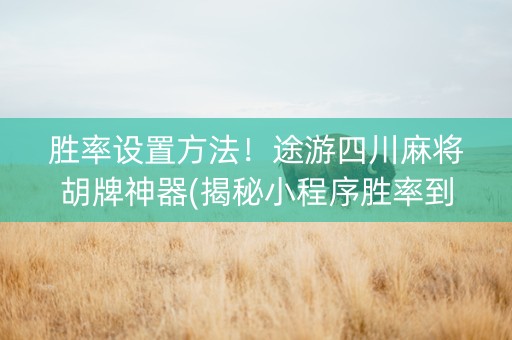 胜率设置方法！途游四川麻将胡牌神器(揭秘小程序胜率到哪调)