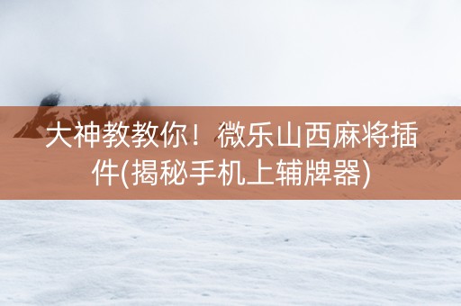 大神教教你！微乐山西麻将插件(揭秘手机上辅牌器)