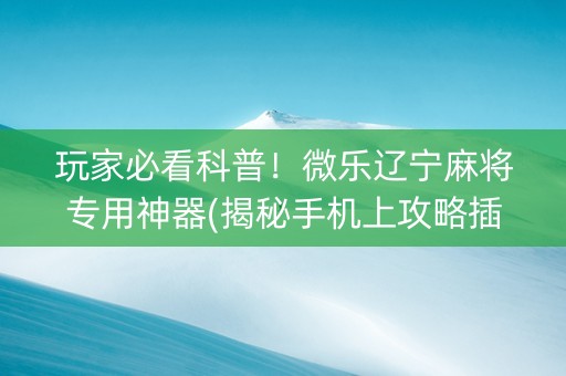玩家必看科普！微乐辽宁麻将专用神器(揭秘手机上攻略插件)
