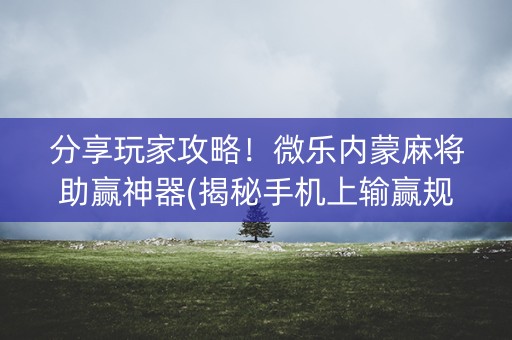 分享玩家攻略！微乐内蒙麻将助赢神器(揭秘手机上输赢规律)