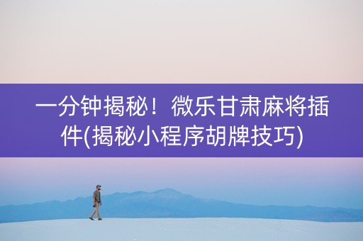 一分钟揭秘！微乐甘肃麻将插件(揭秘小程序胡牌技巧)