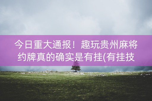 今日重大通报！趣玩贵州麻将约牌真的确实是有挂(有挂技巧辅助器)