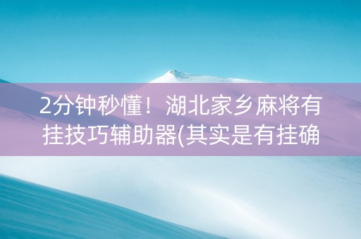 2分钟秒懂！湖北家乡麻将有挂技巧辅助器(其实是有挂确实有挂)