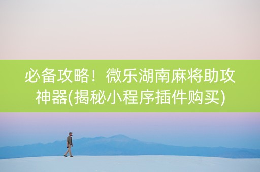 必备攻略！微乐湖南麻将助攻神器(揭秘小程序插件购买)