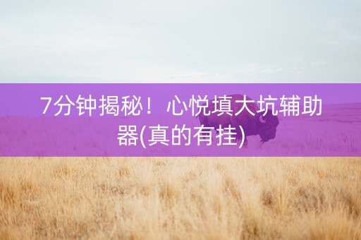 7分钟揭秘！心悦填大坑辅助器(真的有挂)