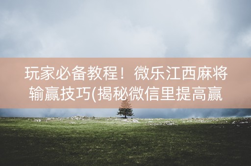 玩家必备教程！微乐江西麻将输赢技巧(揭秘微信里提高赢的概率)
